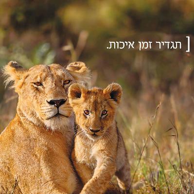 רענן בן בסט, מנכ"ל החברה הגיאוגרפית - חלק 1