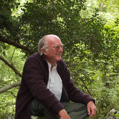 El bosque habitado - Homenaje a Francis Hallé, Barón Rampante y Botánico - 25/01/26