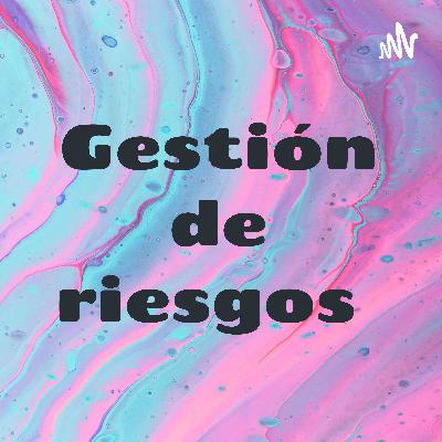 Variables del riesgo financiero y aspectos legales