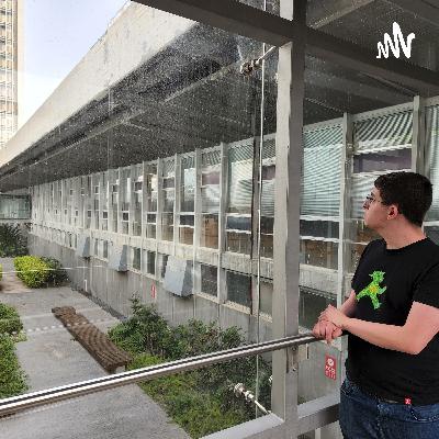 פרק 12 – האם אנשים עם מוגבלויות משתתפים במעגל החיים?