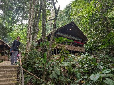Kota Kinabalu Confidential: Our adventures in the rainforests of Borneo