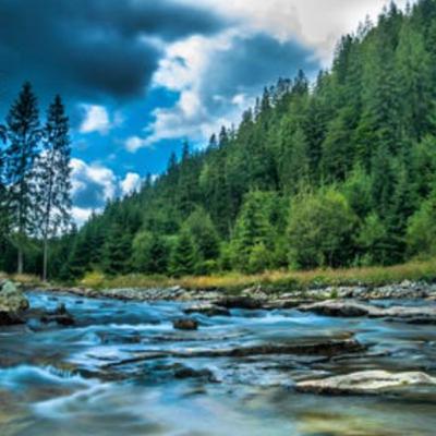 Poetry Podcast- “The Wild Iris” Louise Glück