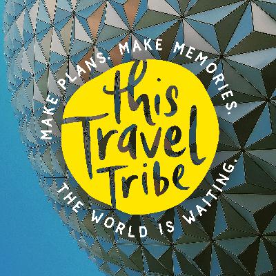 10 Fun Things To To in Orlando Beyond Amusement Parks