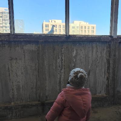 20241222“拉着手，去结婚”