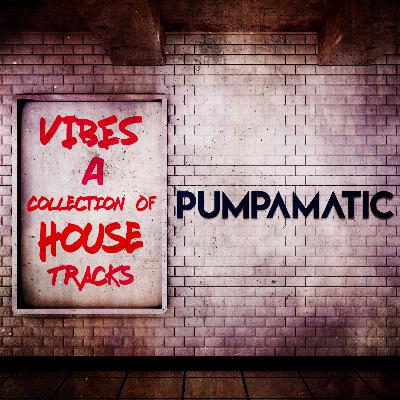 Vibes (A Collection Of House Tracks)