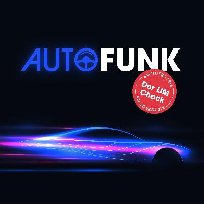 LIM-Check bzw. BIM-Check