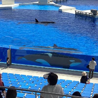 ♯899  家族で須磨シーワールドへ