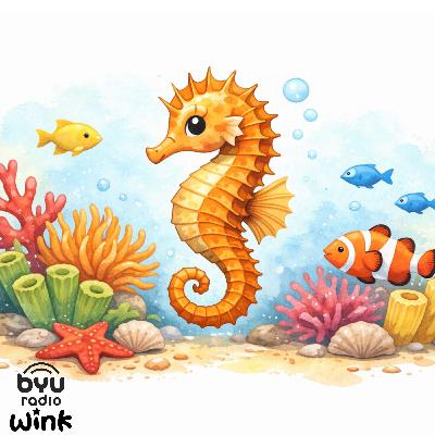 Hide and Seek in the Coral Reef: A Mindful Bedtime Story for Kids Hide and Seek in the Coral Reef: A Mindful Bedtime Story for Kids