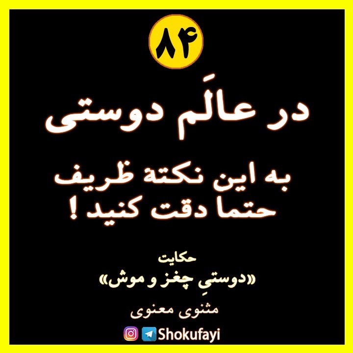 در عالم دوستی به این نکتۀ ظریف حتما توجه کنید | حکایت «دوستیِ موش و چغز» | مولانا