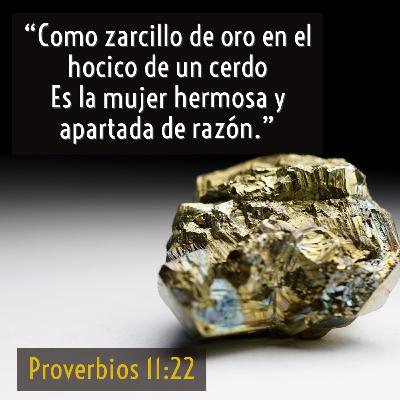 35 - Joyas de Sabiduría - Belleza despreciada [Proverbios 11:22]