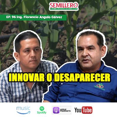 EP. 96 Sembré maíces transgénicos: ¿rindieron más? | Ing. Florencio Angulo