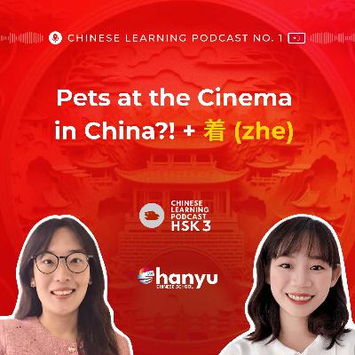 #8 着 (zhe) for Adverbial Complements | Watching Movies with Pets | Learn Chinese Online | HSK 3 #8 着 (zhe) for Adverbial Complements | Watching Movies with Pets | Learn Chinese Online | HSK 3