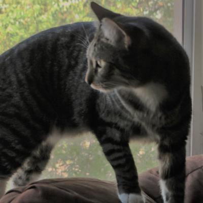 Ep4: LA HISTORIA DEL MUNDO Ep4: LA HISTORIA DEL MUNDO