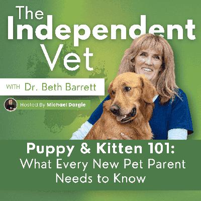 Puppy & Kitten 101: What Every New Pet Parent Needs To Know Puppy & Kitten 101: What Every New Pet Parent Needs To Know