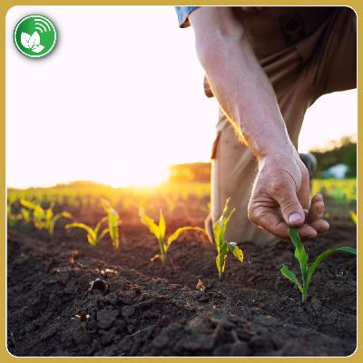 Crédito agro: señales de cambio y más financiamiento en dólares