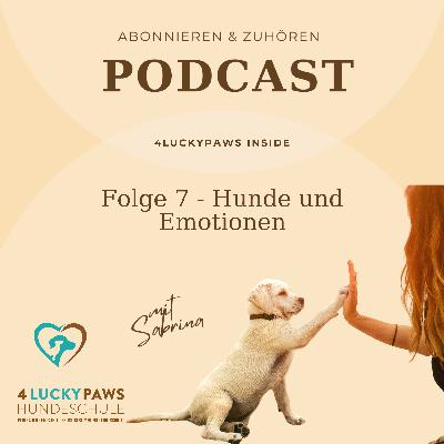 Folge 7 - Hund und Emotion: Wie Hunde unsere Emotionen spiegeln
