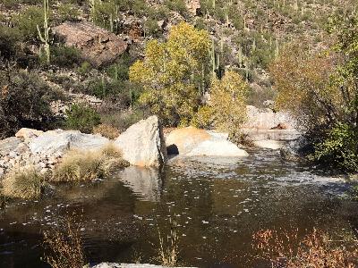 Practice for Chronic Pain