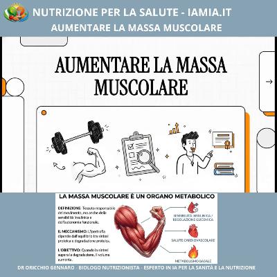 #085-26 AUMENTARE LA MASSA MUSCOLARE