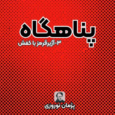 آژیرقرمر با کفش