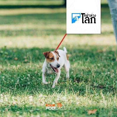 หน้าต่างโลก : เมืองในฟุกุชิมะเปิดปฏิบัติการดัดหลังเจ้าของสุนัขมักง่าย ไม่เก็บมูลสัตว์ หน้าต่างโลก : เมืองในฟุกุชิมะเปิดปฏิบัติการดัดหลังเจ้าของสุนัขมักง่าย ไม่เก็บมูลสัตว์