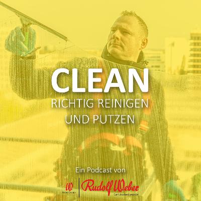 Fenster richtig putzen: Die Königsdisziplin