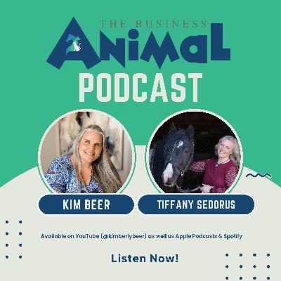 Manifesting & Letting Go with Tiffany Sedorus Manifesting & Letting Go with Tiffany Sedorus