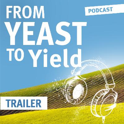 From Yeast to Yield - Trailer From Yeast to Yield - Trailer