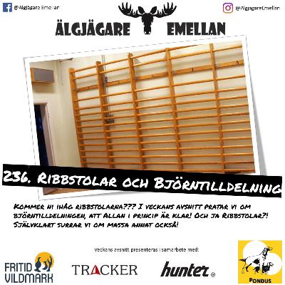 236. Ribbstolar & Björntilldelning