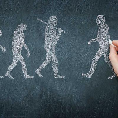 “Non è la specie più forte a sopravvivere”: la vera intelligenza è sapersi adattare, parola di Darwin