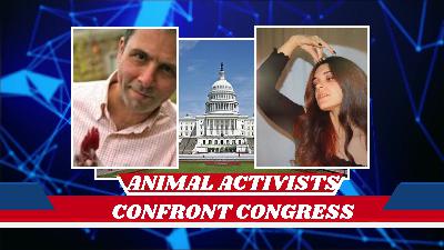 Inside the Capitol: Activists Confront Senetors
