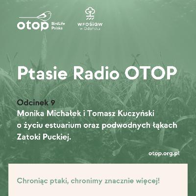 Ptasie Radio OTOP | Odc. 9 | Monika Michałek i Tomasz Kuczyński opowiadają o życiu estuarium oraz o podwodnych łąkach Zatoki Puckiej.