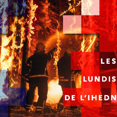 Défense, prévention des risques : le défi de la résilience