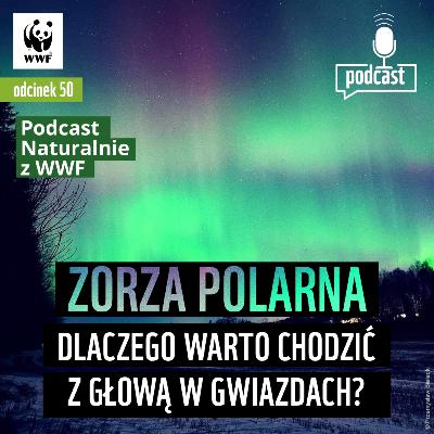 Zorza polarna – dlaczego warto chodzić z głową w gwiazdach?
