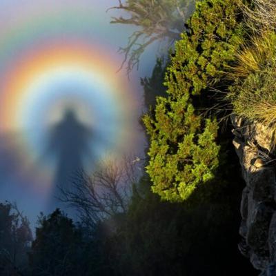 Between 2 Trucks, chilling wit neighbors, Crazy In Public