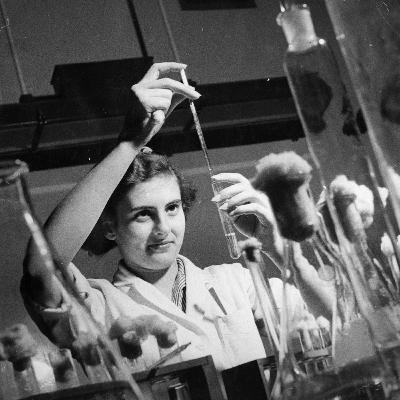 Hello, World! It's Signal.