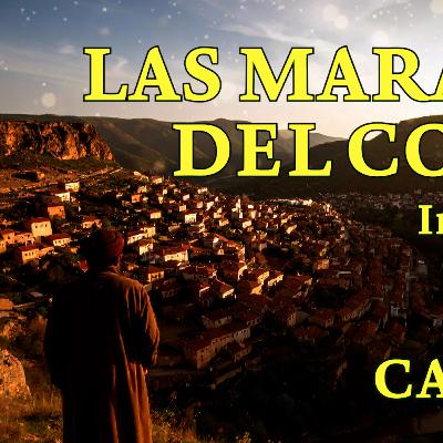 "La responsabilidad del siervo respecto de los susurros del corazón.." Al Gazzali - Cap 13