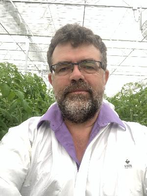Comment apprivoiser la complexité de la gestion des tomates en serre?