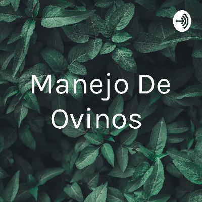 Manejo de ovinos no sudoeste do Paraná