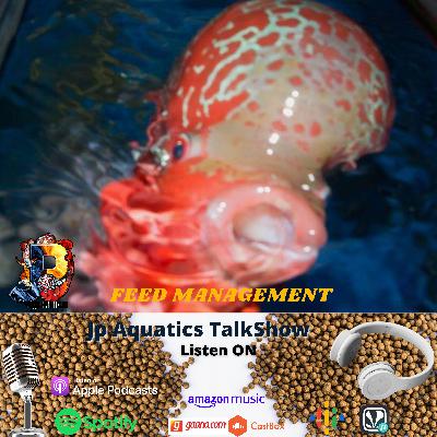 Why you Need to Give Variety Diet to Your Flowerhorn Fish Why you Need to Give Variety Diet to Your Flowerhorn Fish