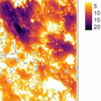 Episode 22 - Future-proofing the forestry industry against the impact of bushfires Episode 22 - Future-proofing the forestry industry against the impact of bushfires