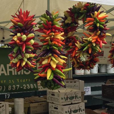 Episode 3: A Twisted Tale