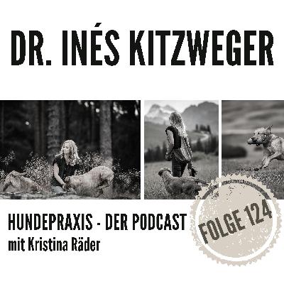 Gesunder Darm - gesunder Hund?!