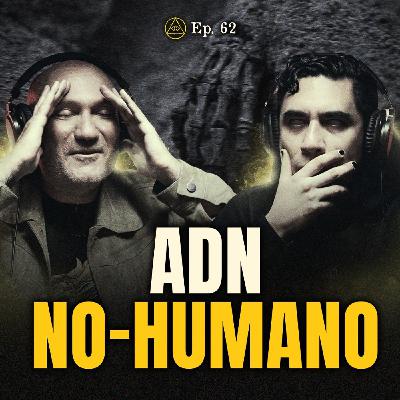 CRÁNEOS EXTRATERRESTRES: RESTOS QUE DESAFÍAN LA HISTORIA HUMANA CRÁNEOS EXTRATERRESTRES: RESTOS QUE DESAFÍAN LA HISTORIA HUMANA