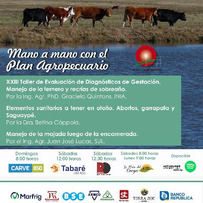 XXIII Taller Evaluación Diagnósticos Gestación. Sanidad en otoño. Majada luego de la encarnerada.