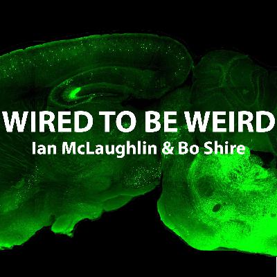 Neuralink - Elon Musk's Next Adventure (Part 1)
