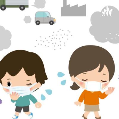 La contaminación del aire
