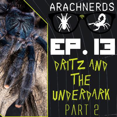 Dritz & The Underdark Part 2 | ArachNerds Ep. 13