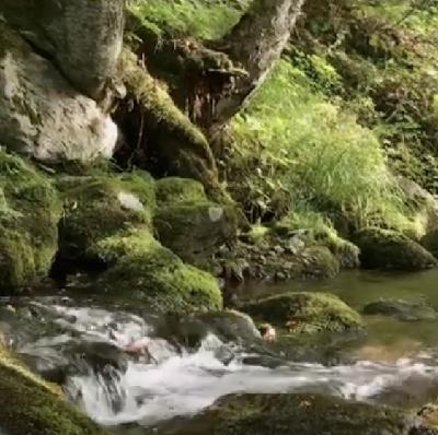 Ep 58: Gene Variation, Clotting Risks, And Birth Control