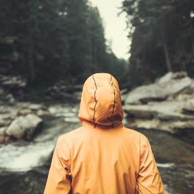 EPISODE 77: HEART TO HEART WITH MICHELLE ROHLF, Estranged Parent and Author.