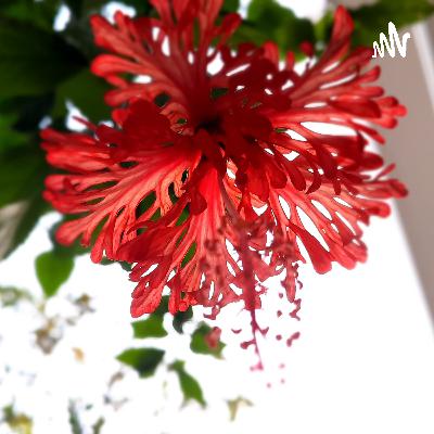 మనం మన ఆలోచనలు